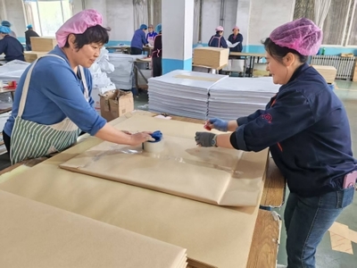 抢订单、抓生产！包装专用设备制造企业生产如火如荼